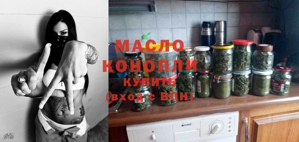 молекула духа Елабуга