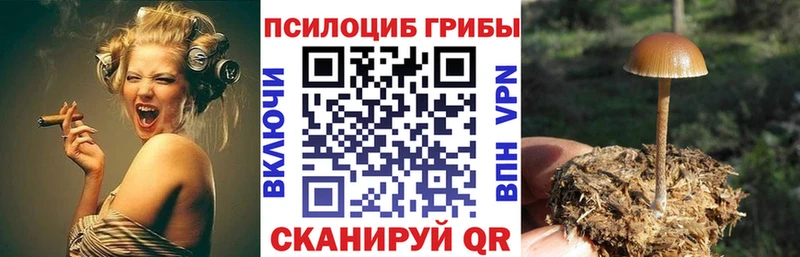 Псилоцибиновые грибы ЛСД Опочка